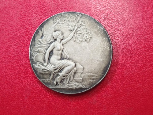 Superbe médaille bronze - superbe, en