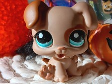 petshop authentic LPS chien