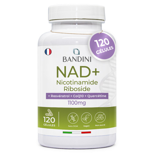 Bandini liposomal nad 120 - liposomal,