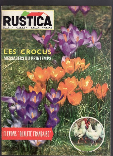 Rustica 1961 crocus - 1961,