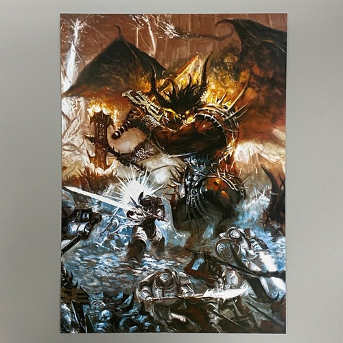 Gris chevaliers terminator - gris,