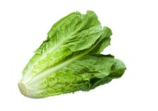 250 Graines de Laitue Romaine - légumes ancien salade - semences paysannes