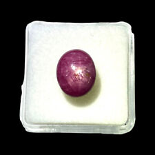 7.50 CT non Chauffé Naturel