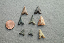 Lot Pointe De Flèche Eiffel Préhistoire Néolithique Sahara Algérie Silex