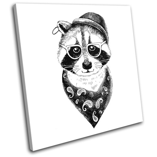 Hipster animals raccoon - hipster,