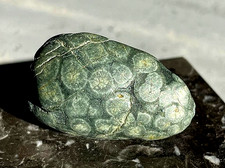 superbe Variolite 37 mm roche volcanique brute naturelle minéraux pierre fine