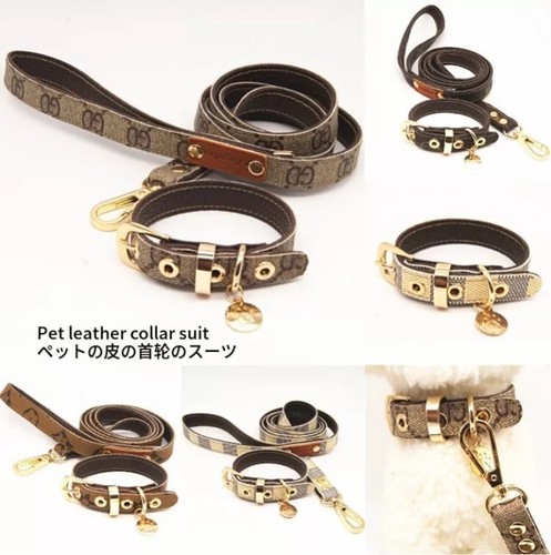 Lot laisse col - laisse, n