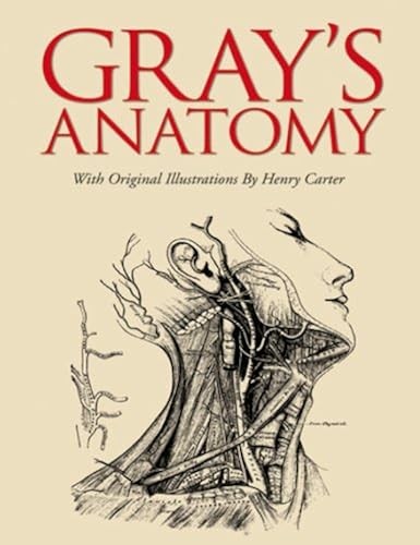 Gray anatomy - gray's,