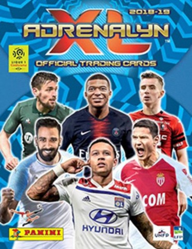 Panini foot france 2018 2019 - foot,