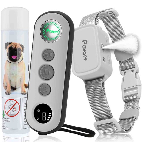 Collier dressage pour chien - collier,