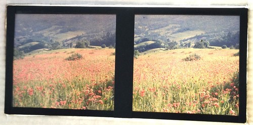 Autochrome vue stéréo - autochrome,