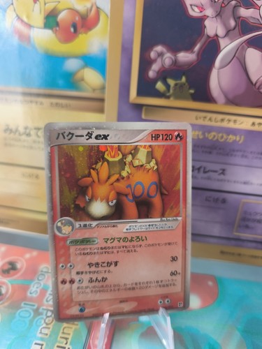 Carte pokemon card holo - carte,
