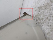 Aile arriere gauche CITROEN