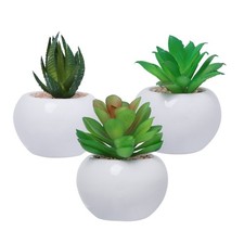  Fausse Plante Grasse Mini