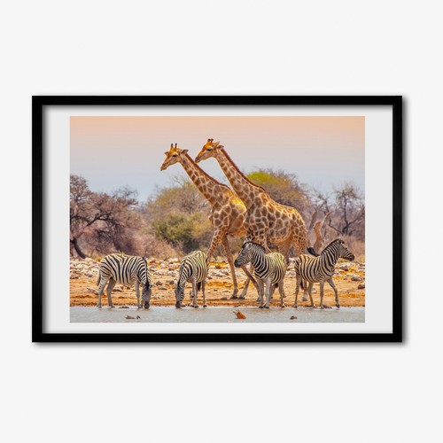 Tulup photo 60x40cm - photo, cadre