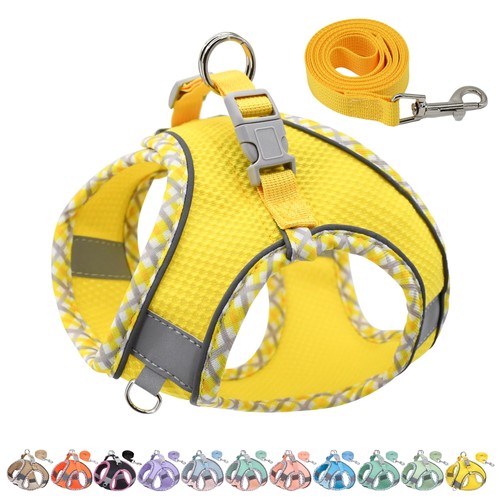 Harnais pour chien - harnais,