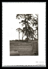 Photo, WW2, l'entrepôt de ravitaillement derrière la Stllg. protégé des arbre...