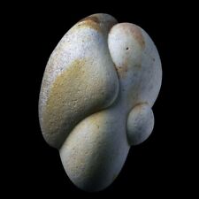 ★☆ GOGOTTE MAROC de