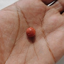 Perles en vrac corail rouge