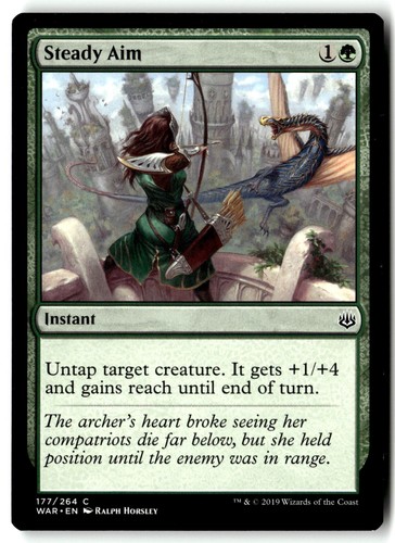 Steady aim 177 - aim, common