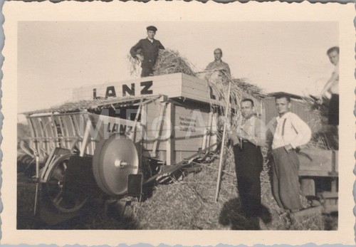 Photo relieuse de paille - x,