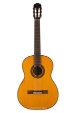 Takamine GC5, Nylon String