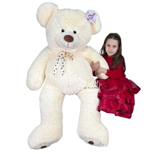 Coccoloso géant ours - ours, en