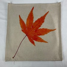 Housse de coussin ou oreiller