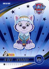 2024 Paw Patrol pat patrouille Collection Trading Card carte au choix