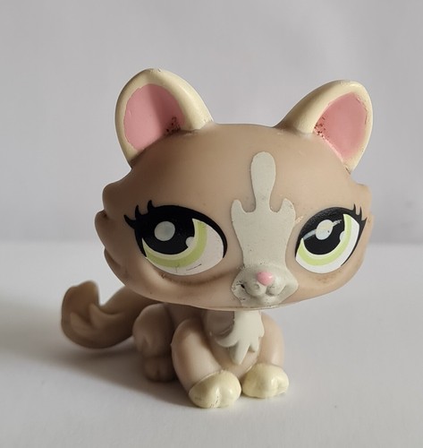 Pet shop 1370 chat sphynx - chat,