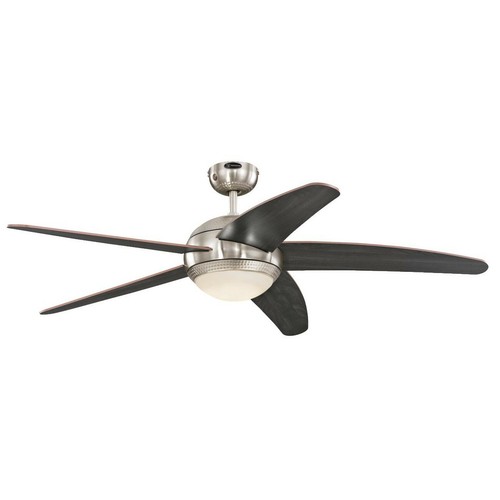 Ventilateur plafond avec - de,
