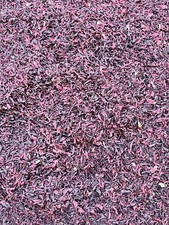 Fleurs d'hibiscus séchés