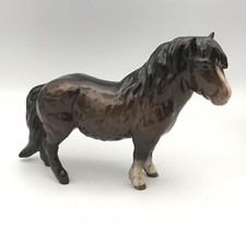 PONEY SHETLAND Jument Shetland