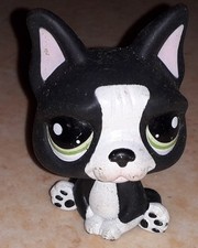 Petshop chien bouledogue