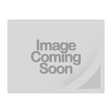 ERGOTRON Universel CPU Support