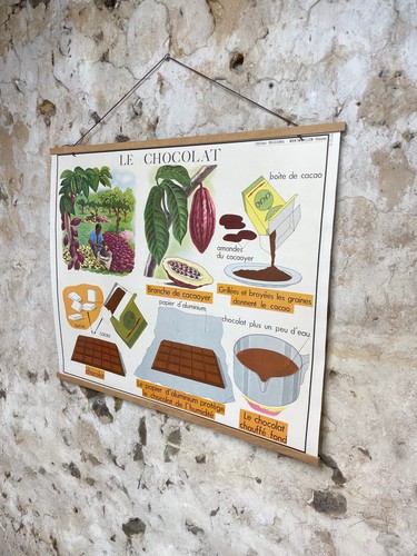 Affiche scolaire vintage