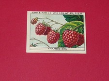 CHROMO PUPIER 1930 ALBUM