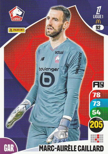 Carte foot panini - n°,