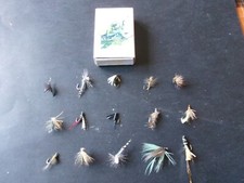 15 véritables mouches de