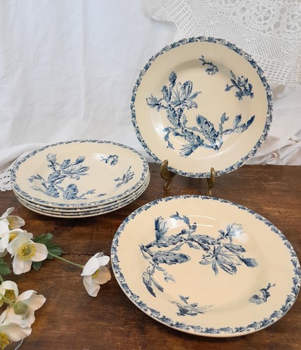 Assiettes creuses gien - creuses,