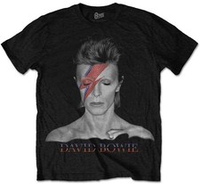 David Bowie 'Aladdin Sane'