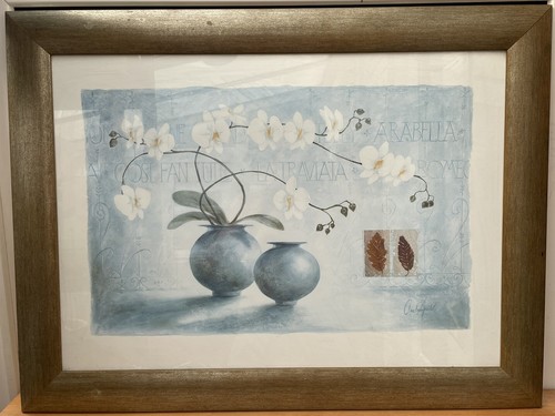 Orchids claudia ancelotti - orchids, by