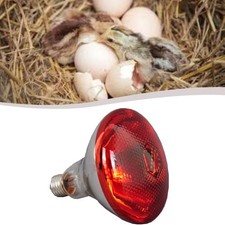 Lampe Chauffante avec Lumière Infrarouge Rouge pour Poulets Reptile Couveuse Pr