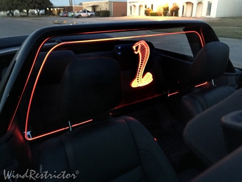 Neuf ford mustang - neuf,