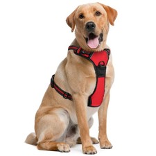 Harnais pour Chiens de Taille