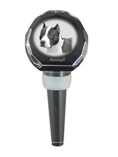 American Staffordshire Terrier