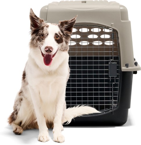 Petmate Vari Dog & Cat Kennel