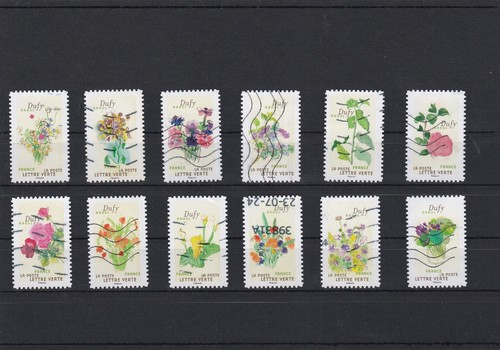 France 2024 fleurs foison - fleurs,