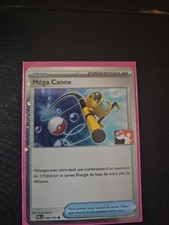 Carte Pokemon Mega Canne