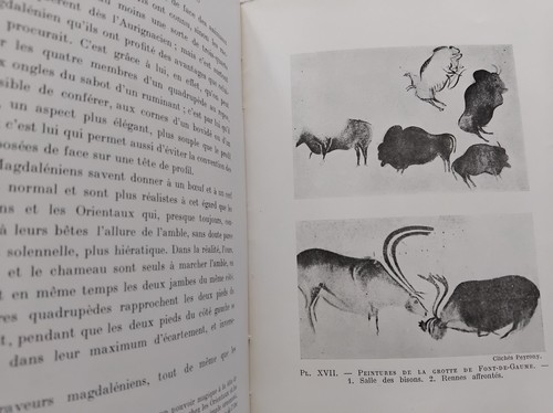 Les artistes prehistoriques - artistes,